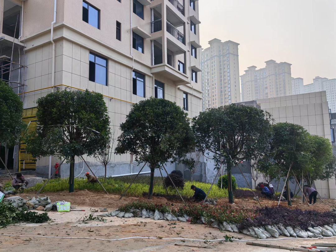 640 (1).png 640 (1).png